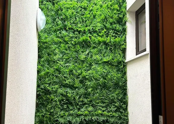 Grace 住宿加早餐酒店 巴里